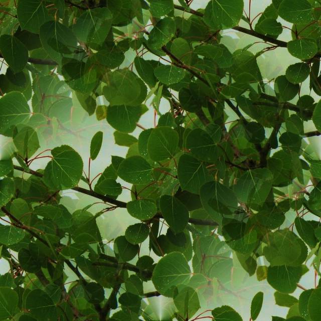 Seamless_Leaves_by_Meyrocu.jpg