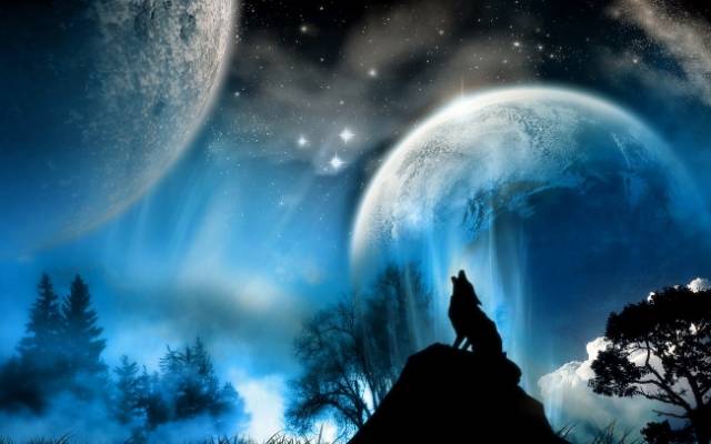 Rue's Wolf (650x406).jpg