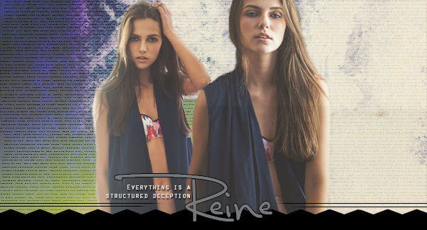 Reine Banner.png