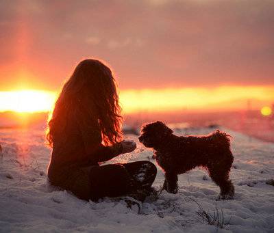 dog-girl-snow-sun-winter-Favim.jpg