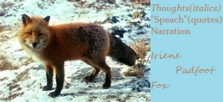 fox.jpg
