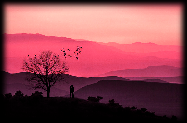 pink.png