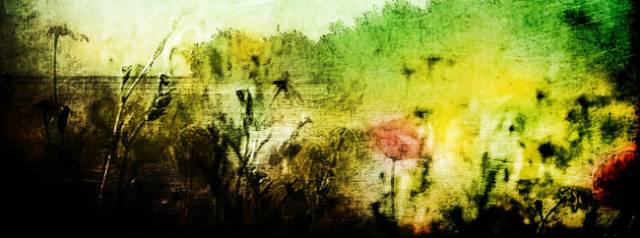 Untitled17.jpg