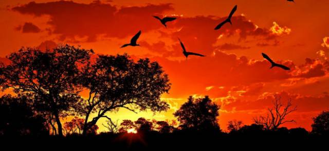 Sunset1.jpg