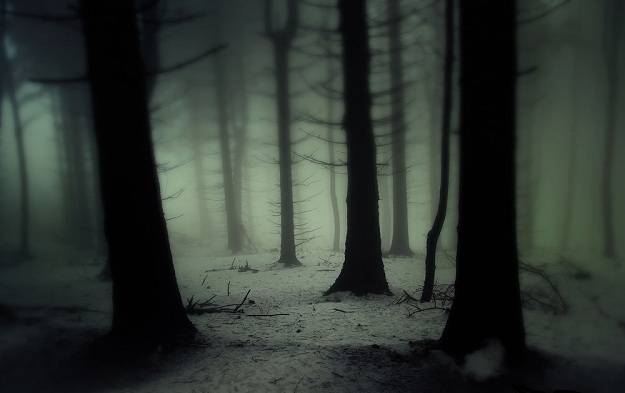 _dark_forest__by_janek_sedlar-d5pwom2.jpg