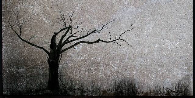 Deadtree1.jpg