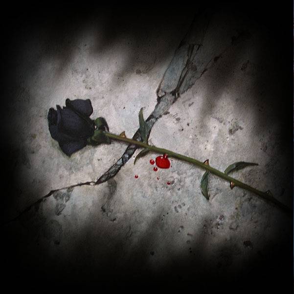 blood-rose-fall-ground.jpg