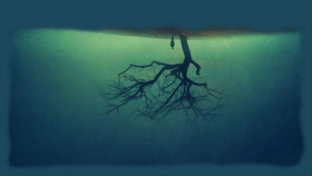 Tree4.jpg