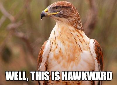 Harrier Intervention.jpg