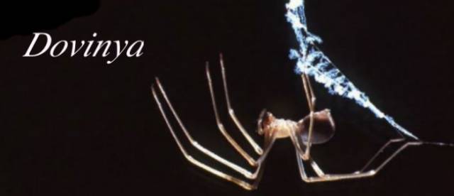 Dovinya's Post Header.jpg