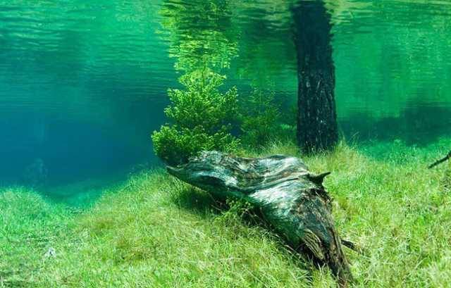Lake.jpg