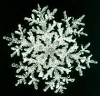 snowflake0572.jpg