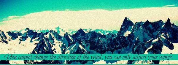 you cannot change.jpg