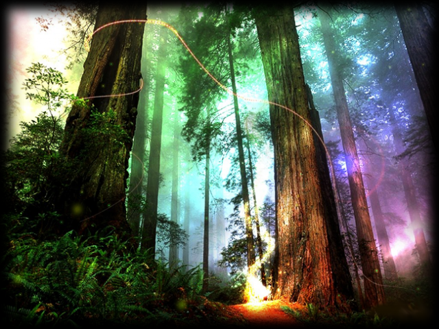 magicalforest.png