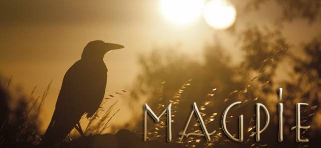 magpie_sunset_by_wisewanderer-d5q0h0o copy.jpg