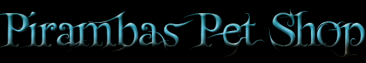 pirambas.png