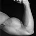 bodybuilding.jpg