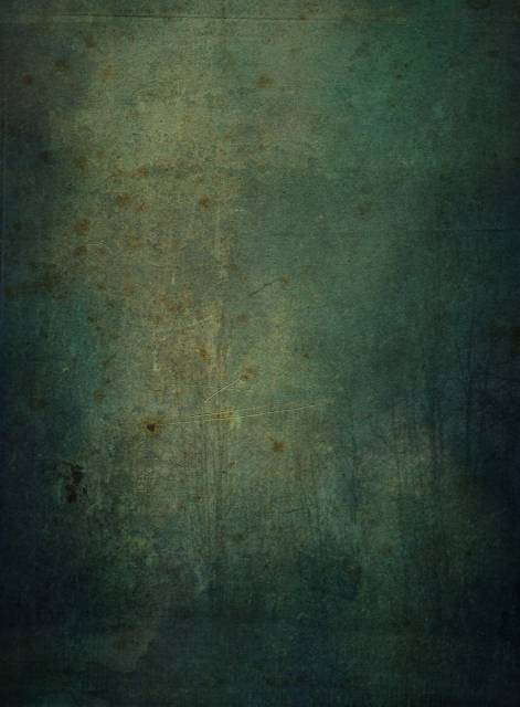 Grunge_Forest_by_AsunderStock.jpg