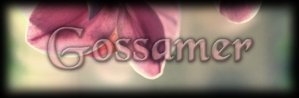 orchid2.png
