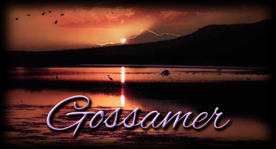 Sunset2.png