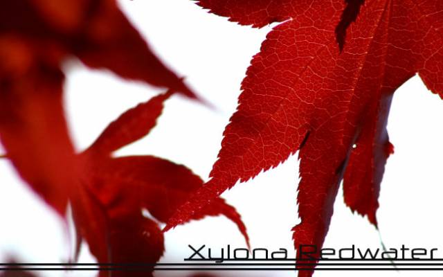 Xylona's Boxcode.jpg