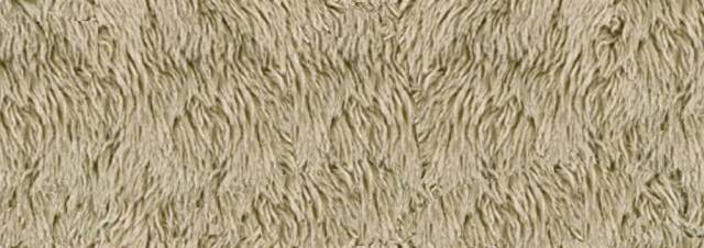 fur1.jpg