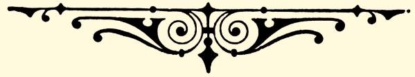 Black filigree bottom.jpg