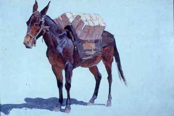 mule.jpg
