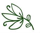 Flower2.jpg