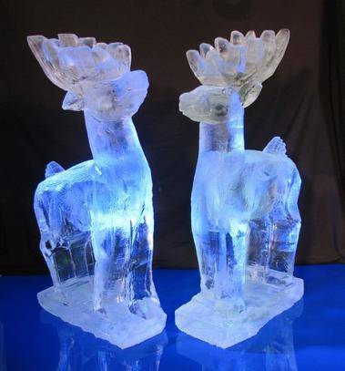 Reindeer Ice Luge_0.jpg