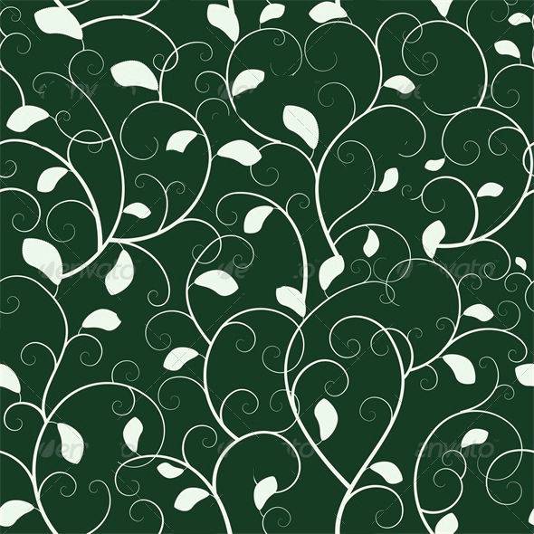 Vines.jpg