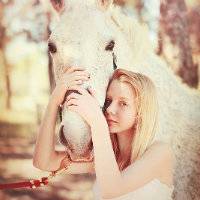 ee345ba00db6b0d8ec701fee9684e140-d3dt5rd.jpg