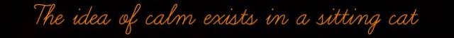 Bottom of Boxcode No2.jpg