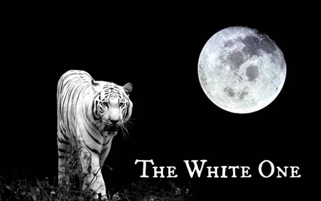 The White One Boxcode No1.jpg