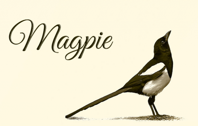 Boxcode Magpie.png