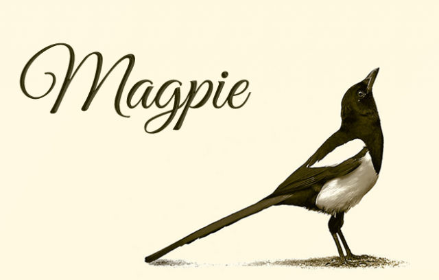 Boxcode Magpie.png