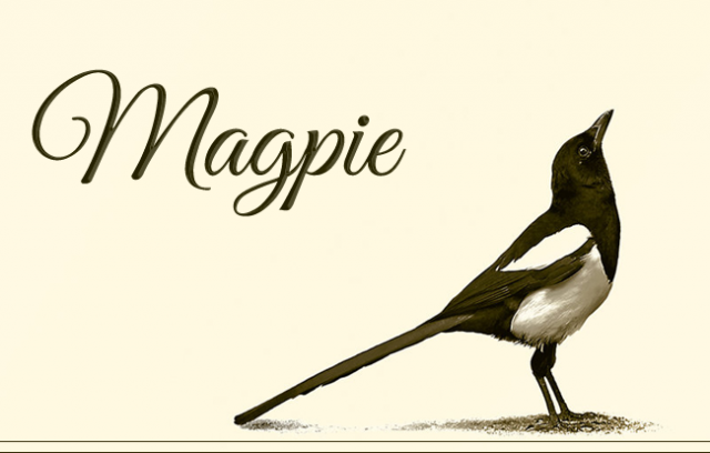 Boxcode Magpie ver2.png