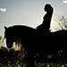 Horseback Riding.jpg