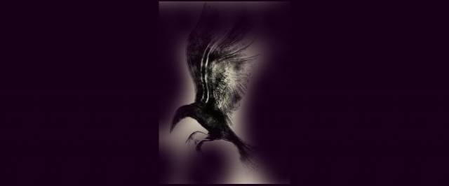 crow_back.jpg