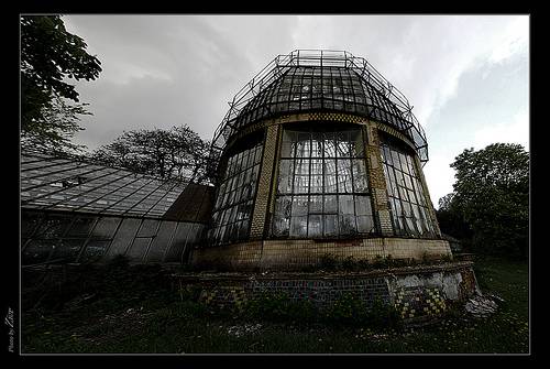 Greenhouse.jpg