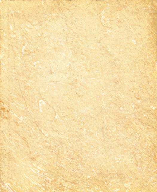 paper_texture_by_akinna_stock.jpg