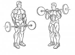 Standing-Barbell-Bicep-Curls-300x221.jpg