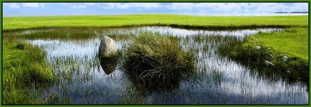 rock-no-derivatives-tags-sky-clouds-field-swamp-water-grass-342110.jpg