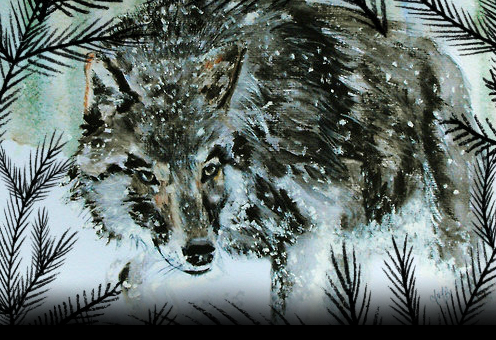 Wolf1.png