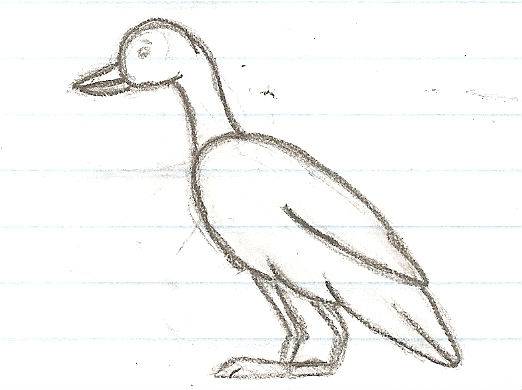 Goose1.jpg