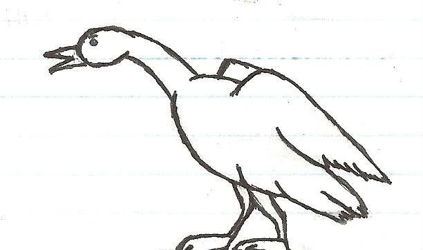 Goose2.jpg