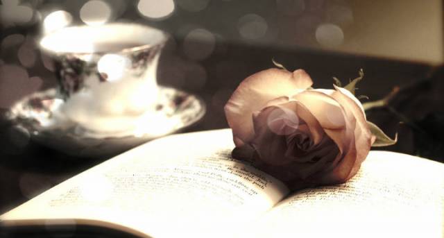 Rose Book.jpg