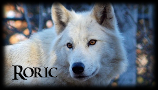 Roric1.png