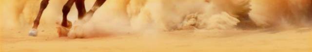 Desert Horse Bottom Banner 2.jpg