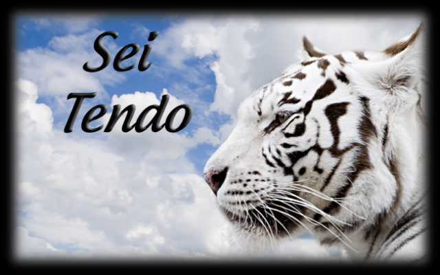 tigercode1.png